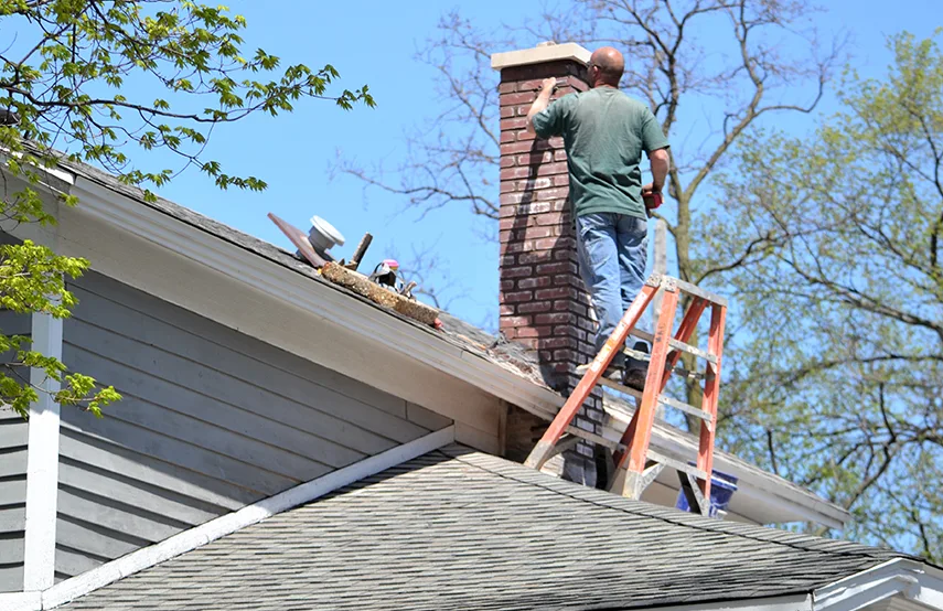 Chimney & Fireplace Inspections Services in Central, LA